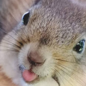 Profile Picture of Anne Andrews (@anneandrews1360) on Youtube