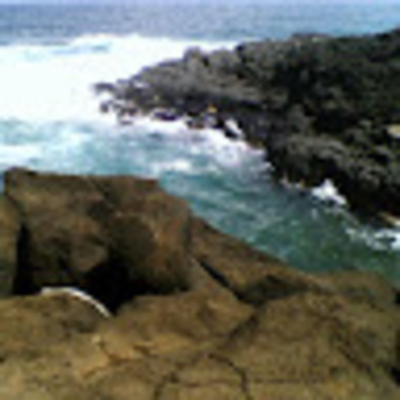 Profile Picture of Brian Goodwin (@briangoodwin478) on Poshmark