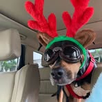 Profile Picture of Sean Novak (@sean.novak.79) on Facebook