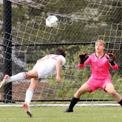 Profile Picture of Nicholas Cardarelli (@nicholascardarelli6616) on Youtube