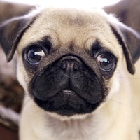 Profile Picture of Jade Greer (@jade-greer-7) on Quora