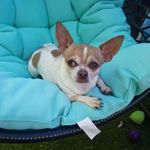 Profile Picture of Steve Hertz (@steve.hertz.35) on Instagram