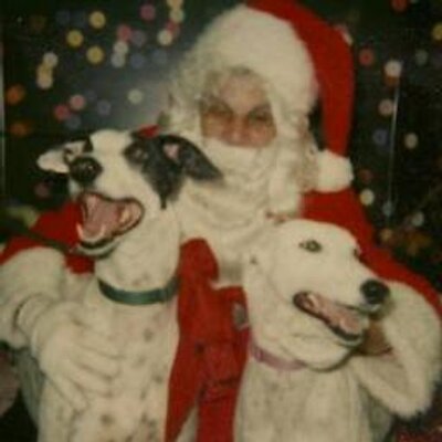 Profile Picture of Allan Cornell (@houndwhisperer) on Twitter