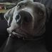Profile Picture of Nicholas L. Cassizzi (@Nicholas-L-Cassizzi) on Facebook