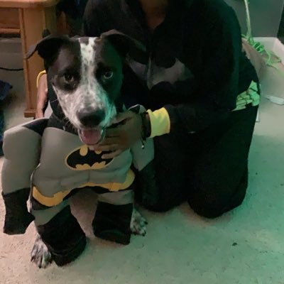 Profile Picture of Alexander (@RobertParman18) on Twitter