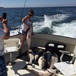 Profile Picture of Erika Danielson (@erikadanielson) on Instagram
