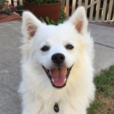 Profile Picture of Eric Clarke (@erik949) on Twitter