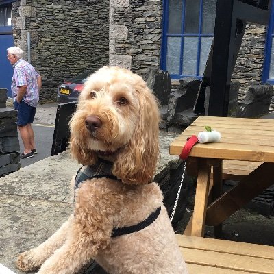 Richard Rimmer - Twitter Profile Picture of Richard Rimmer (@rich_rimmer) on Twitter