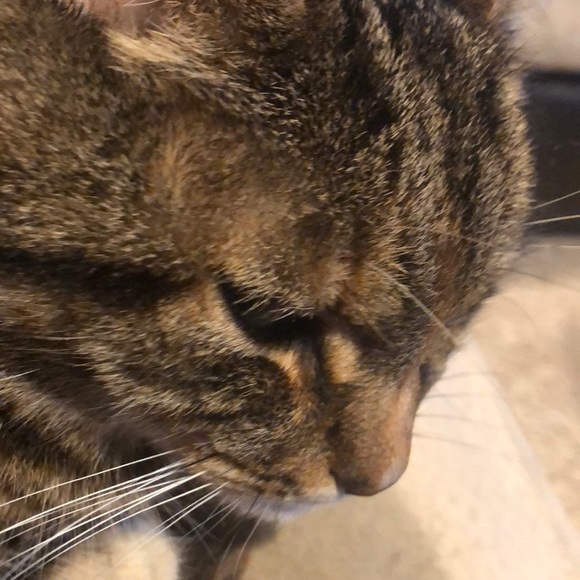 Profile Picture of Andrea Huffert (@ninahuff676) on Poshmark