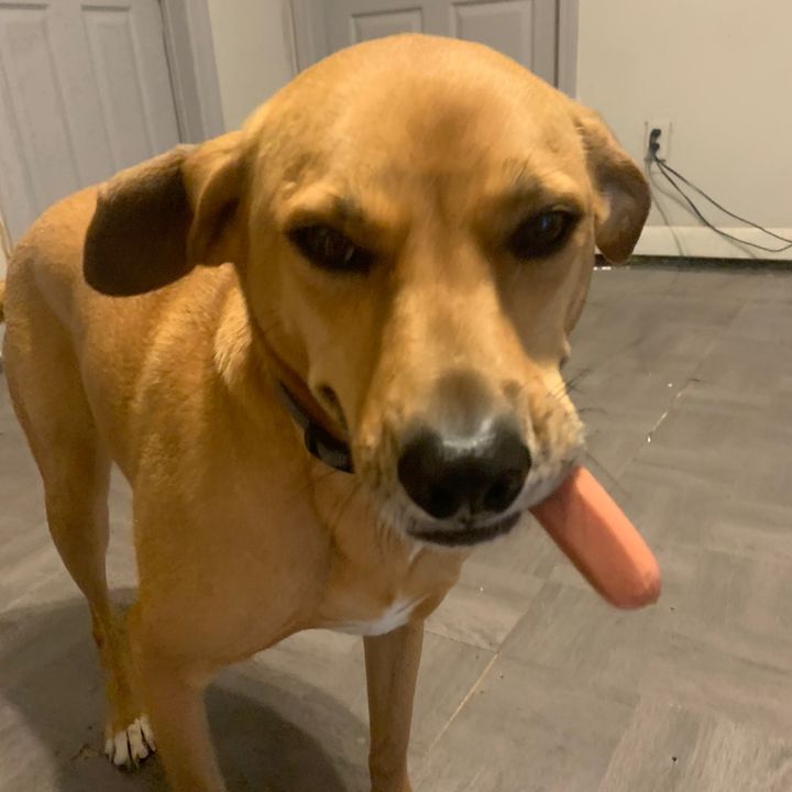 Jillian🦋 - Tiktok Profile Picture of Jillian🦋 (@jillian.comfort) on Tiktok