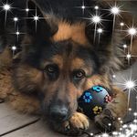 Profile Picture of Nancy Baumberger (@nancy.baumberger) on Instagram