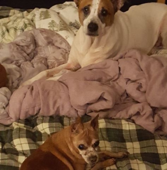 Profile Picture of Carolyn Steible (@carolynsteible) on Poshmark