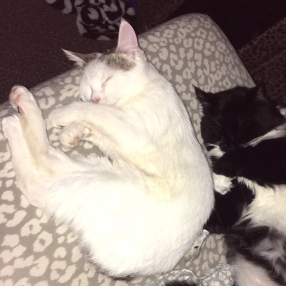 Profile Picture of Brandy Blancett (@brandyyb27) on Poshmark