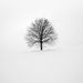 Profile Picture of Julia J. McGonagle  (@juliajmcgonagle) on Pinterest