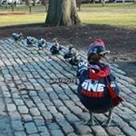 Profile Picture of Cathy Reams Coburn (@cathy.coburn26) on Instagram