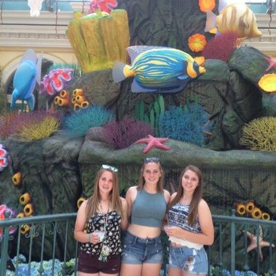 Profile Picture of Michael Prandi (@mikeprandi) on Twitter