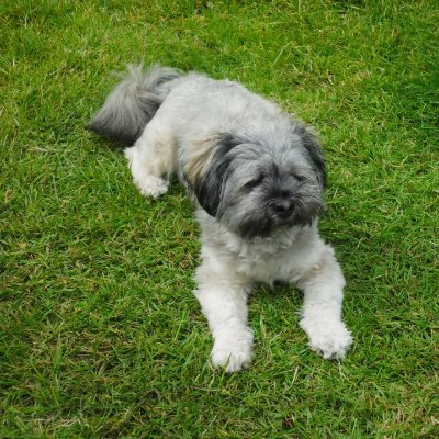 Profile Picture of Betty Cannon (@bc76gb) on Twitter