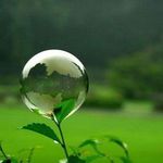 Profile Picture of Jamie-lee & Luke (@bubble_aquascapes) on Instagram