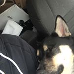 Profile Picture of Matthew Quill (@matthew.quill.1232) on Instagram