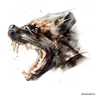 Profile Picture of Jonathan Shearer (@JonathanShear13) on Twitter