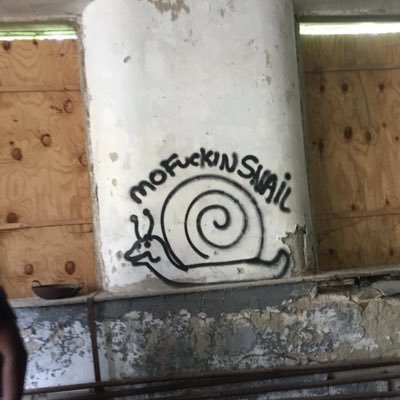 Profile Picture of Joe Stanfield (@StanfieldJoe) on Twitter