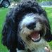 Profile Picture of Debbie Foss (@debbie.foss.79) on Facebook