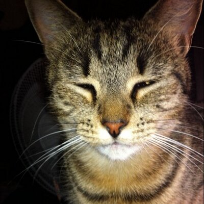 Profile Picture of Luke Brewer (@Name_ThisGuy) on Twitter