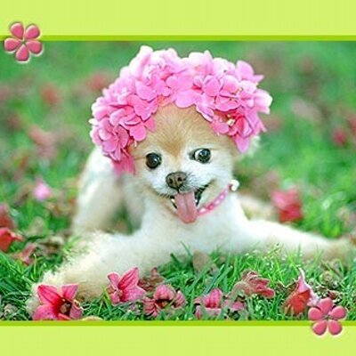 Profile Picture of Cheryl Mize (@CherylMize) on Twitter