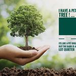 Profile Picture of Ian Brownsword (@ibrownsword) on Instagram