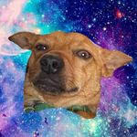 Profile Picture of Scotty Reed (@scottyjreed) on Instagram