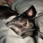 Profile Picture of Charles McDaniel (@charles.mcdaniel.811852) on Facebook