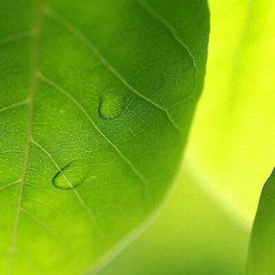 Profile Picture of Thomas Bertrand (@thomasbertrand) on Twitter