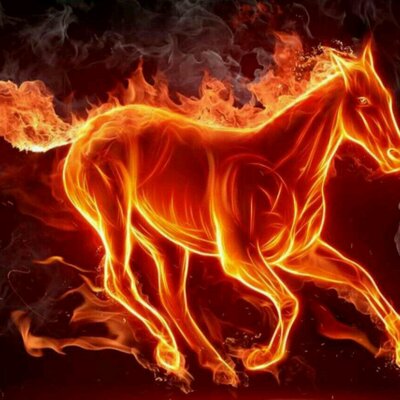 Profile Picture of Wilfredo Reyes (@wilfredoreyes49) on Twitter