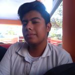 Profile Picture of Francisco Ariel Ortega Suárez🐢 (@ariel_spiegelman) on Instagram