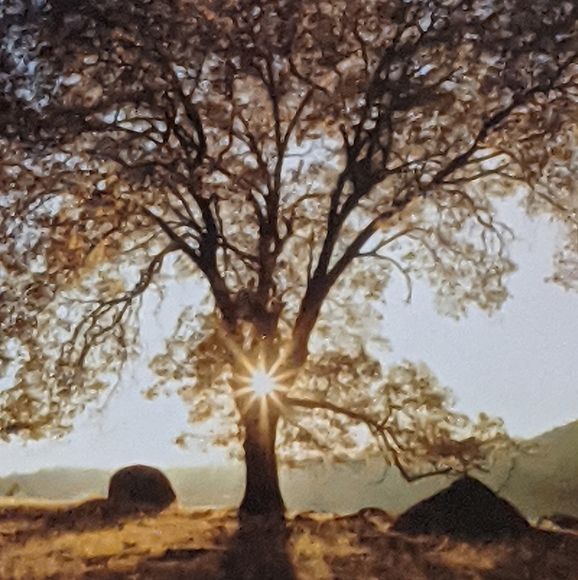 Profile Picture of Joann Kishbaugh (@jokishbaugh) on Poshmark