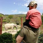 Profile Picture of Peter Sz (@peter.switzer.14) on Instagram