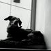 Profile Picture of Sarah Malhotra (@sarahmalhotra131) on Pinterest