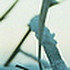 Profile Picture of oceandsea (@oceandsea) on Flickr