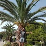 Profile Picture of István Czotter (@istvanczotter) on Instagram