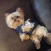 Profile Picture of Lillian Mack (@lillian.mack.942) on Facebook