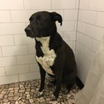 Profile Picture of Christopher Fitzgerald (@cofitzgerald4) on Instagram