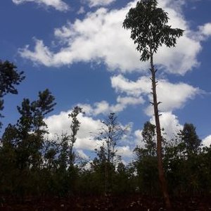 Profile Picture of Dj Kang' (@Patrick78318091) on Twitter