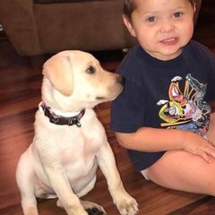 Profile Picture of Michael Holbert (@michaelholbert1) on Tiktok