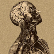 Profile Picture of Essence Perry (@essenceperry135) on Youtube