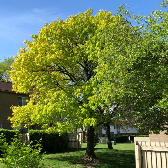 Profile Picture of Robert Woolfolk ii (@robertw7) on Poshmark