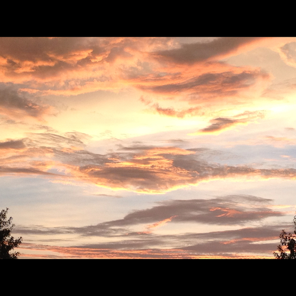 Profile Picture of Sandra Mccaffety (@smccaffety) on Poshmark