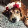 Profile Picture of Audrey Forth (@aforth0620) on Pinterest