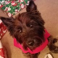 Profile Picture of Tamara Clayton (@tamara-clayton-2) on Quora