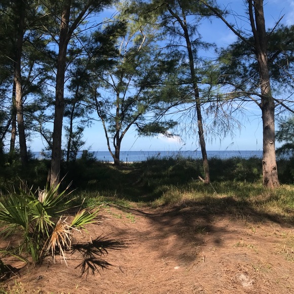 Profile Picture of Casey Frudakis (@ceurfer160) on Poshmark