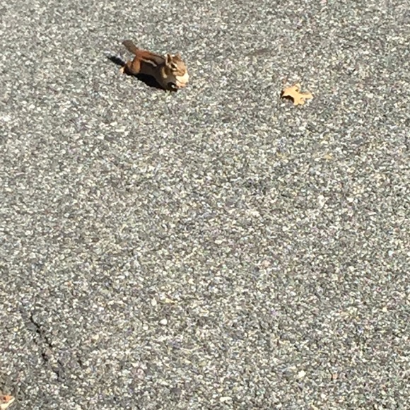 Profile Picture of Alba Ramirez (@albaramirez92) on Poshmark